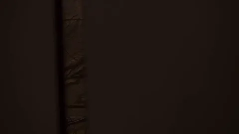 桥本香菜视频封面