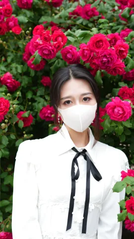 桥本香菜动态图片